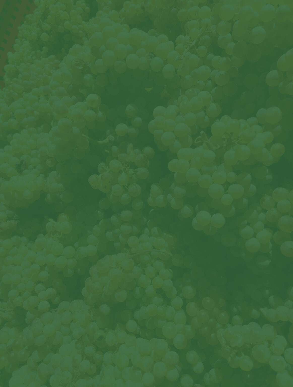 The Best 10 Examples Of idebit casinos